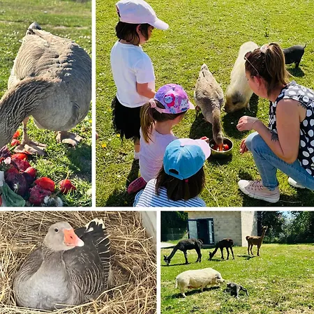 Apartmán Cocon A La Ferme - Du Der